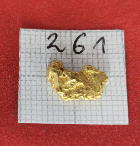 Pepita oro 186 grammi - pepita,