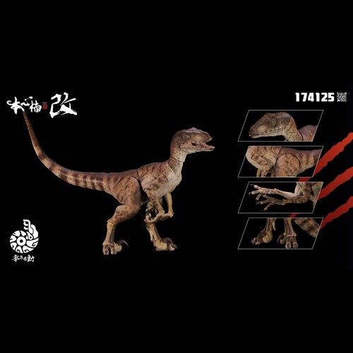 Nanmu studio jurassic - nanmu, park