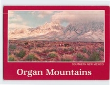 Cartolina Organo Montagne Sud