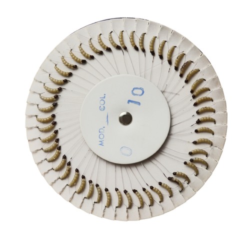 Moschera mosche color - moschera,