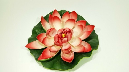 Fiore loto ninfea rossa - di,