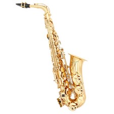 Sax Alto Finitura Laccata (Custodia Soft-Line) STUDIO-SCOLASTICO