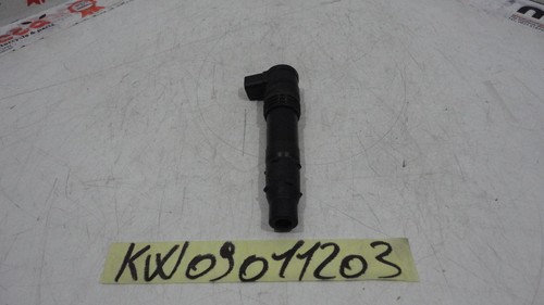 Bobina pipetta candela - , coil