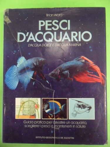 Pesci acquario acqua - pesci, dolce