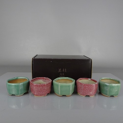 Miju mini vaso per bonsai - mini,