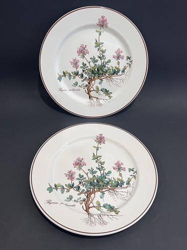 Piatti insalata villeroy - piatti,