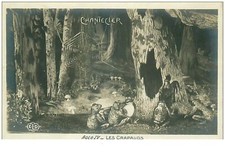 Animali. N°32827. Rane