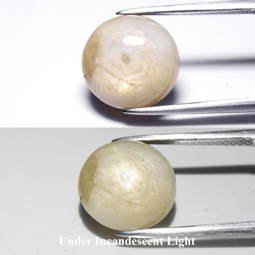 Zaffiro cabochon rotondo - 💎,