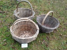 4572 ANTICHI CESTI VIMINI