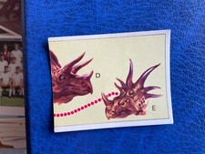 PANINI ANIMALI PREISTORICI