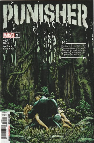 The punisher cover - 5,
