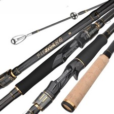 Canne da Pesca Lancio Lunga