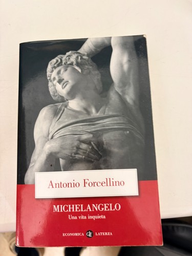 Forcellino michelangelo una - michelangelo,