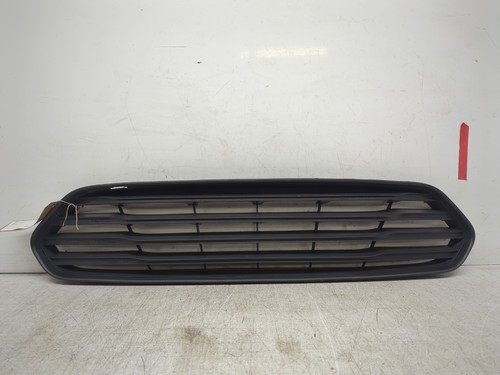 Griglia anteriore ford - griglia,