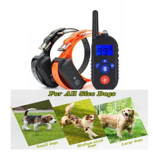 Pet trainer collare - collare, anti
