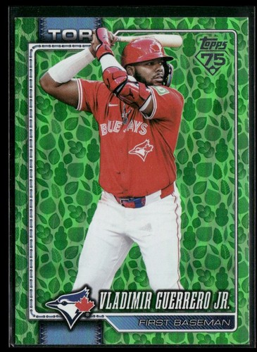 Vladimir guerrero 2026 - vladimir,