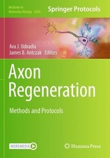 Axon Regeneration -