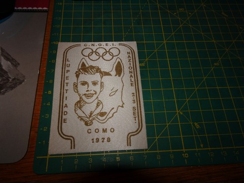 Boy scout toppa - boy,