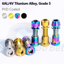 Bulloni testa brugola tappo