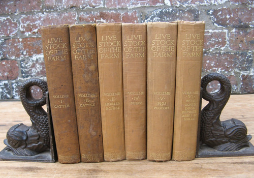 1910 live stock the - 1910,