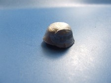 Elmetto tedesco in acciaio 2, seconda guerra mondiale, accessori carro armato RC, scala 1:16