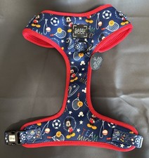 Disney Sassy Woof Team