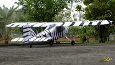 Dornier Do-27 1,62 m EP-GP