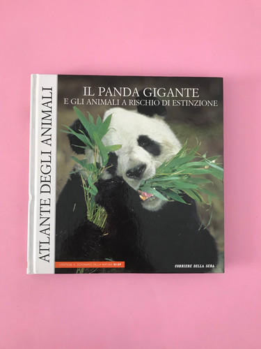 Panda gigante gli animali - gigante,