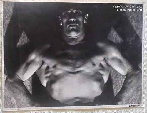 Luxardo primo carnera - luxardo,