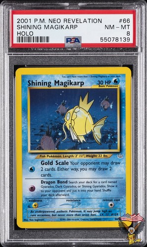 Shining magikarp holo - shining, 66/64