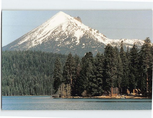 Cartolina mcloughlin - cartolina,