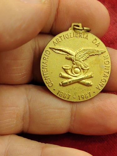 Medaglia centenario - i,