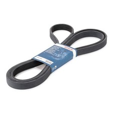 Cinghia Servizi Poly-V Bosch