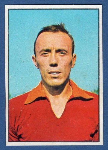 Figurina calciatori panini - figurina,