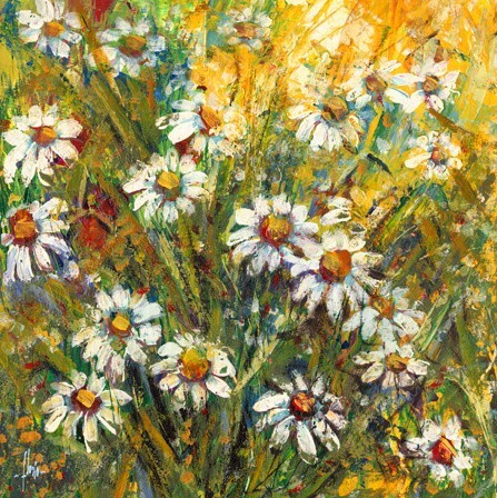 Quadro campo margherite fiori - quadro,