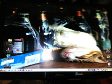 ASUS VH196S Monitor Computer -