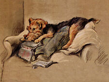 WELSH TERRIER CHARMING DOG