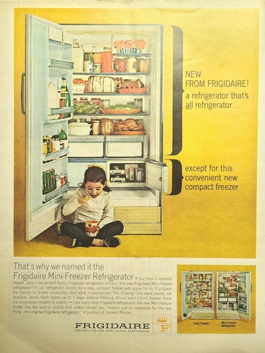 Frigorifero frigidaire bambina - frigorifero,