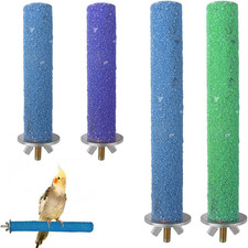 4 Pezzi Posatoi, Giochi