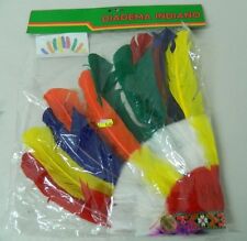 DIADEMA INDIANO piume colorate copricapo Carnevale adulto C91