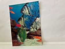 TRI-DIMENSIONAL 3D AQUARIUM