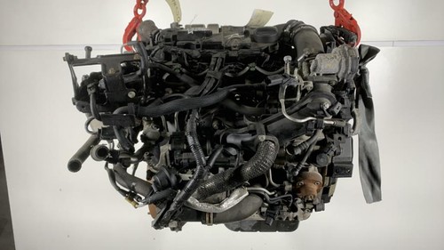 Motore ford fiesta phase - ford,