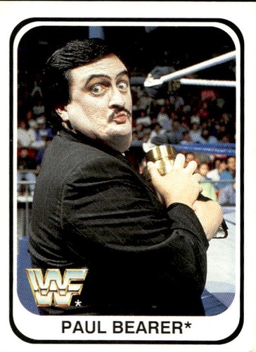 Card wwf wrestling merlin 1991 - wwf,