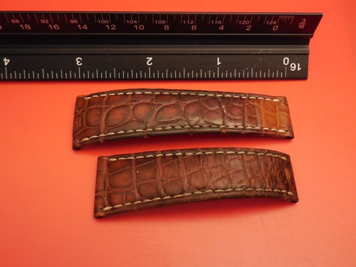 Cinturino coccodrillo - cinturino,
