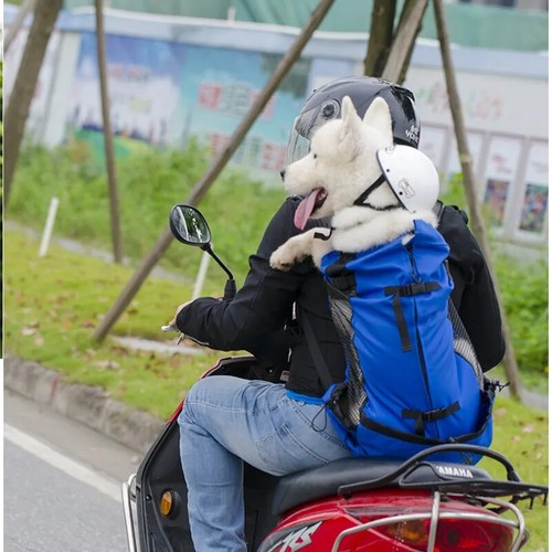 Zaino viaggio trasportino - zaino, da