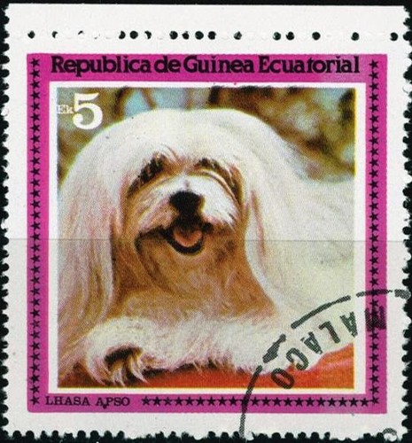 Guinea equatoiale valore - guinea,