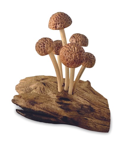 Sgabello legno fungo - di,