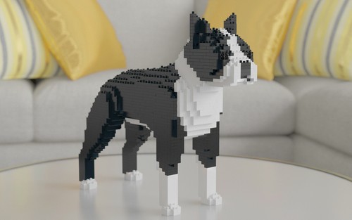 Bull terrier inglese - bull,