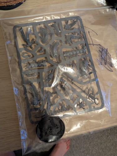 Warhammer age sigmar figlie - warhammer,