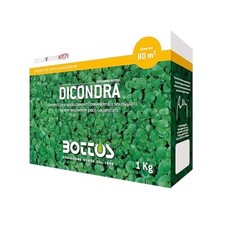Bottos DICONDRA, Semi per Prato Dichondra Repens, Bassa Manutenzione - 1Kg(80mq)